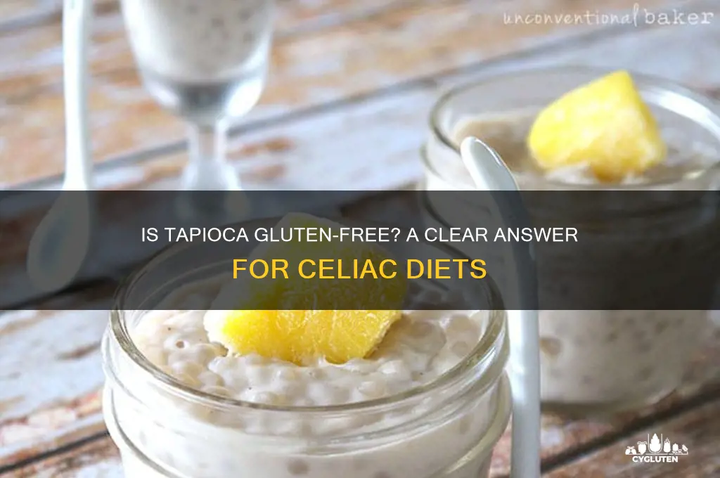 is tapioca gluten free