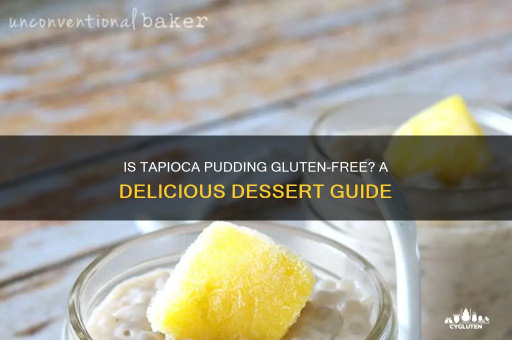 is tapioca pudding gluten free