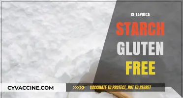 Is Tapioca Starch Gluten-Free? A Clear Answer for Celiacs