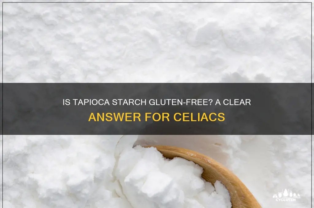 is tapioca starch gluten free