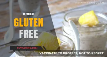 Is Tapioca Gluten-Free? A Clear Answer for Your Diet