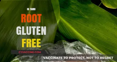 Is Taro Root Gluten-Free? A Complete Guide for Celiac Diets
