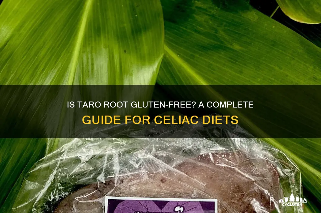 is taro root gluten free