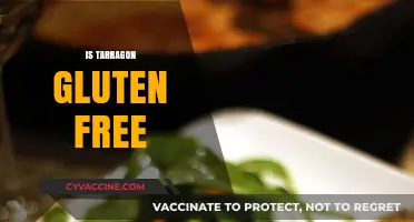 Is Tarragon Gluten Free? Exploring the Herb's Safety for Celiac Diets