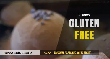 Is Tartufo Gluten-Free? Exploring the Classic Italian Dessert's Ingredients