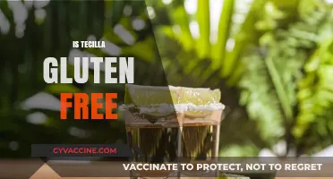 Is Tecilla Gluten-Free? A Comprehensive Guide to Its Ingredients