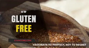 Is Tef Gluten-Free? Unveiling the Truth About This Ancient Grain