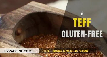 Is Teff Gluten-Free? Unveiling the Ancient Grain's Celiac-Friendly Truth