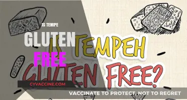 Is Tempeh Gluten-Free? A Complete Guide to Soy-Based Protein