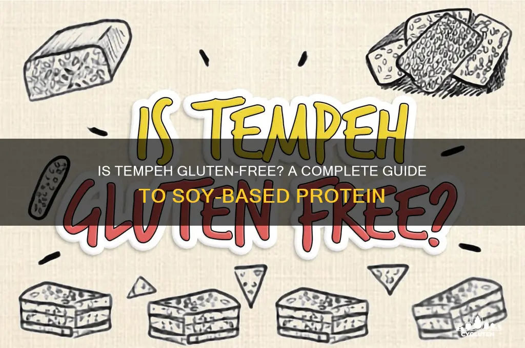 is tempe gluten free