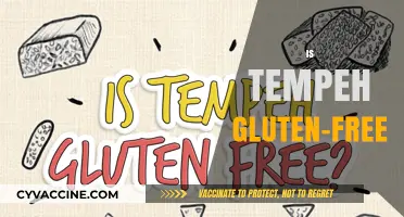 Is Tempeh Gluten-Free? A Complete Guide to Soy-Based Protein