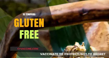 Is Tempora Gluten Free? Unraveling the Mystery of This Ingredient