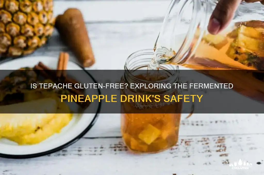 is tepache gluten free