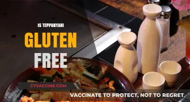 Is Teppanyaki Gluten-Free? Exploring Safe Dining Options for Celiacs