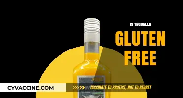 Is Tequella Gluten-Free? A Comprehensive Guide to Your Favorite Drink