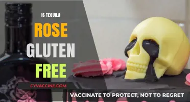 Is Tequila Rose Gluten-Free? A Complete Guide for Drinkers