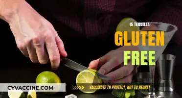 Is Tequila Gluten-Free? Uncovering the Truth for Celiac Drinkers