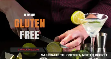 Is Tequila Gluten-Free? Uncovering the Truth for Celiac Drinkers