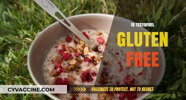 Is Testofuel Gluten-Free? A Comprehensive Guide for Fitness Enthusiasts