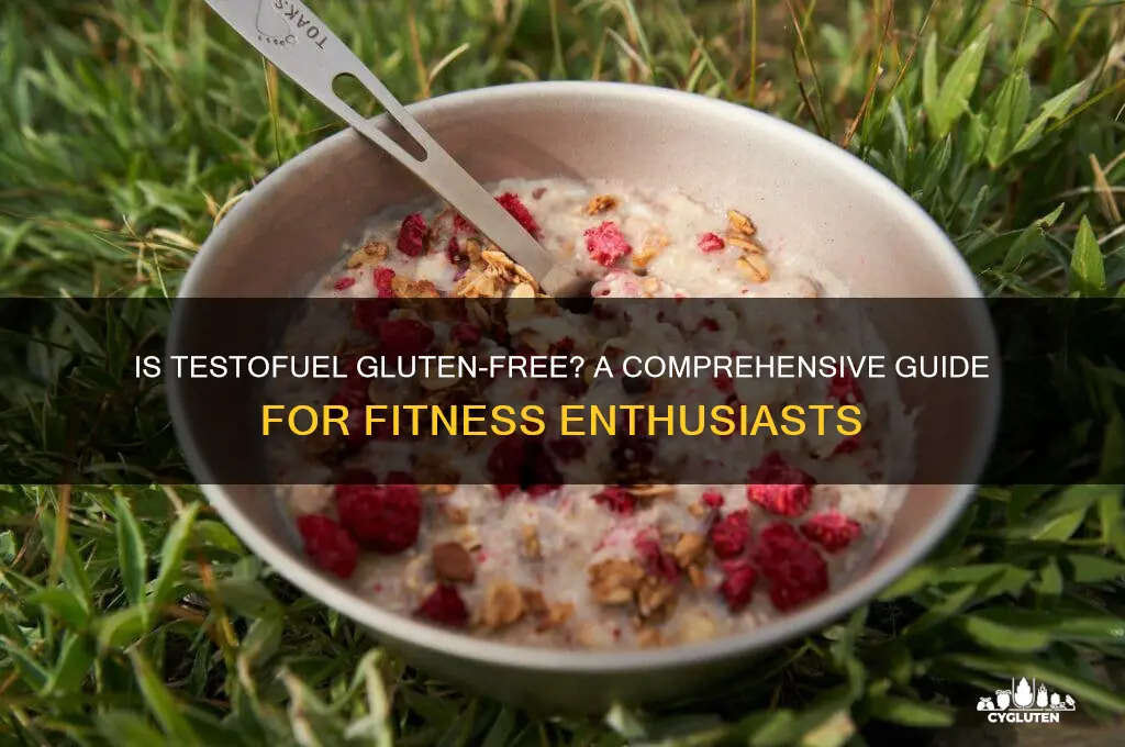 is testofuel gluten free