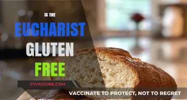 Is the Eucharist Gluten-Free? Exploring Catholic Communion Options