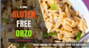 Exploring Gluten-Free Orzo: Delicious Alternatives for Your Favorite Pasta Dish