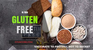Is This Gluten Free? A Quick Guide to Safe Eating