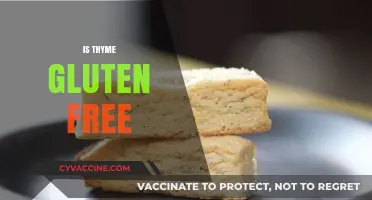 Is Thyme Gluten Free? A Complete Guide to Safe Herbs
