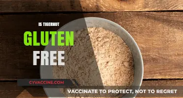 Is Tigernut Gluten-Free? Uncovering the Truth for Celiac Diets