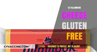 Is Tillamook Cheese Gluten-Free? A Complete Guide for Cheese Lovers