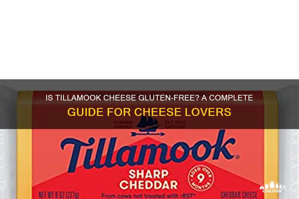 is tillamook cheese gluten free