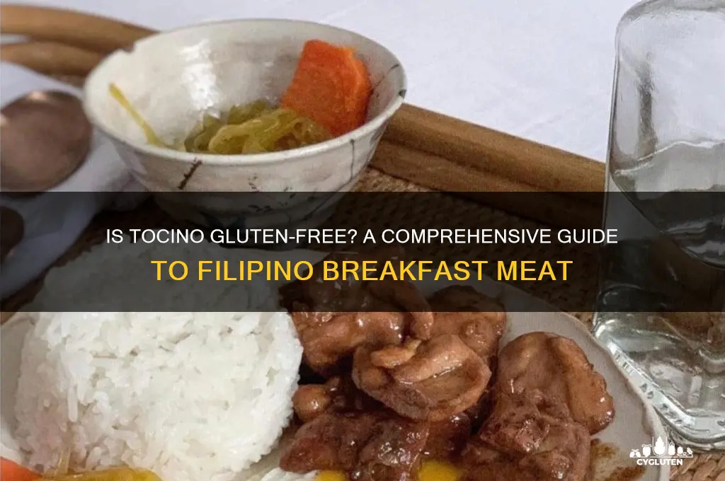 is tocino gluten free