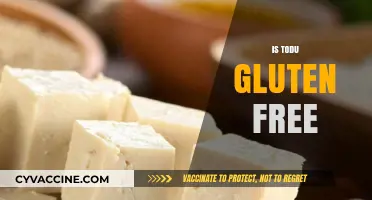 Is Todu Gluten-Free? Uncovering the Truth About Todu's Ingredients