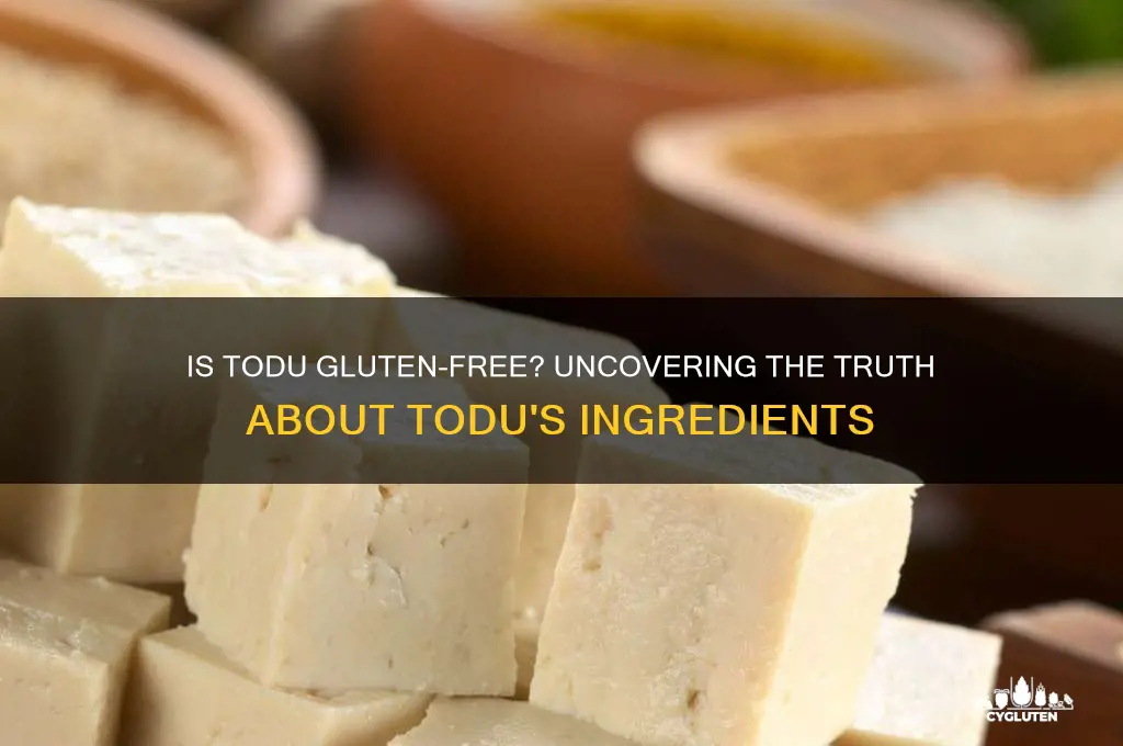 is todu gluten free