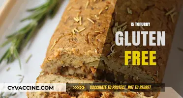 Is Tofurky Gluten-Free? A Complete Guide for Dietary Needs