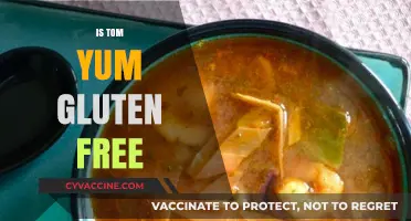 Is Tom Yum Gluten Free? A Complete Guide to Thai Soup