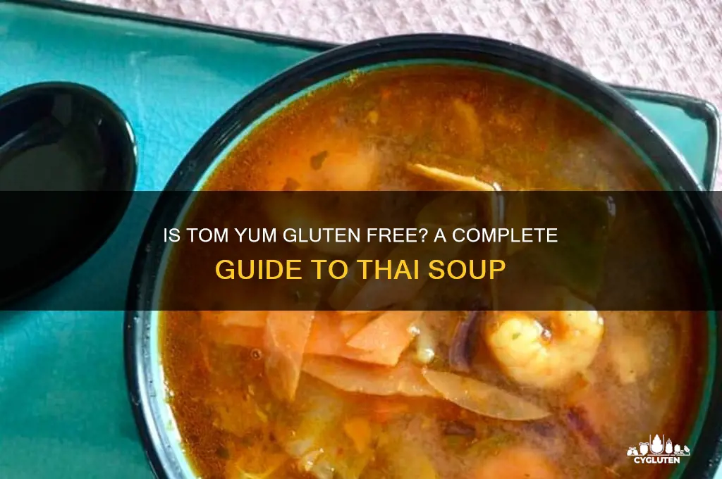 is tom yum gluten free