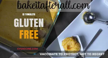 Is Tomalito Gluten Free? A Complete Guide to Ingredients and Safety