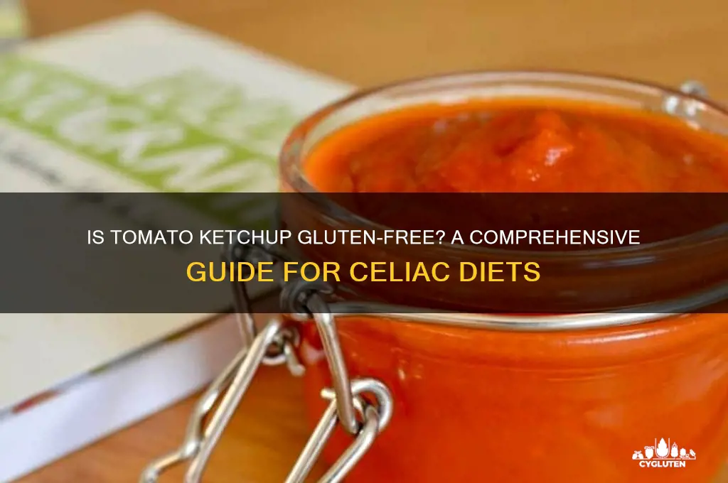 is tomato ketchup gluten free
