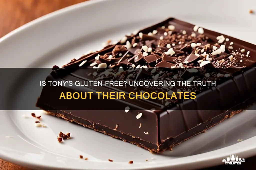 is tonys gluten free