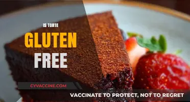 Is Torte Gluten-Free? Exploring Ingredients and Safe Dessert Options