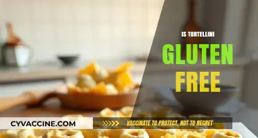 Is Tortellini Gluten-Free? Exploring Ingredients and Safe Options