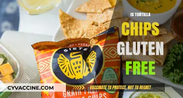 Are Tortilla Chips Gluten-Free? A Crunchy Snack Fact Check