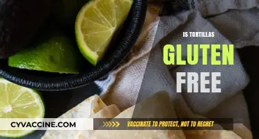 Are Tortillas Gluten-Free? A Complete Guide to Safe Options