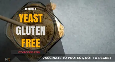 Is Torula Yeast Gluten-Free? A Comprehensive Guide for Dietary Needs