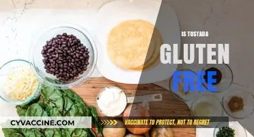 Are Tostadas Gluten-Free? A Complete Guide to Safe Ingredients