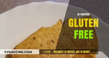 Are Tostitos Gluten-Free? A Crunchy Snack Fact Check