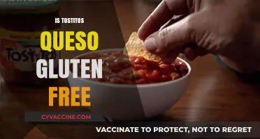 Is Tostitos Queso Gluten-Free? A Complete Guide for Snack Lovers