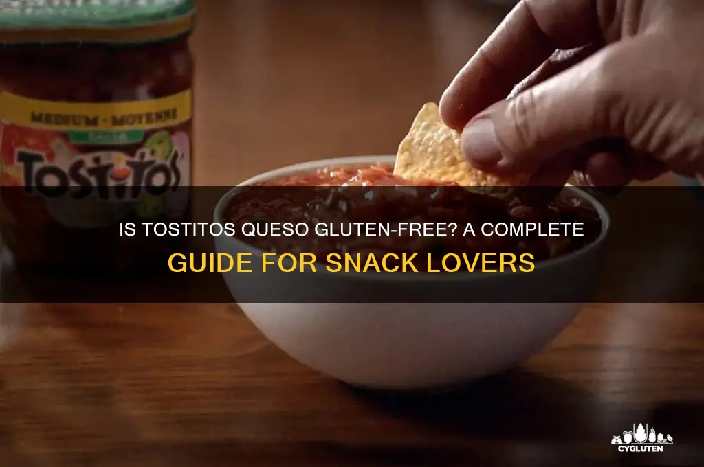 is tostitos queso gluten free