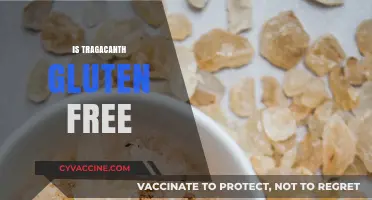 Is Tragacanth Gluten-Free? A Comprehensive Guide for Dietary Needs